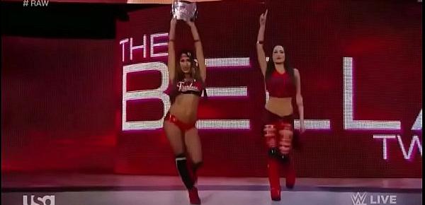  Nikki Bella vs Paige Raw 3 23 15.